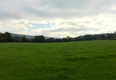 Trail On foot Mole Valley - Norbury Park walk (SCC) - Photo