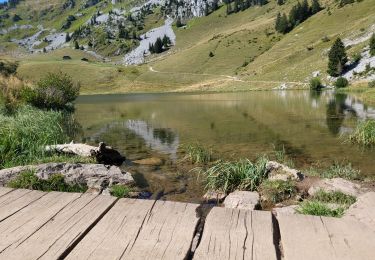 Percorso Mountainbike Châtel - abondance  - Photo