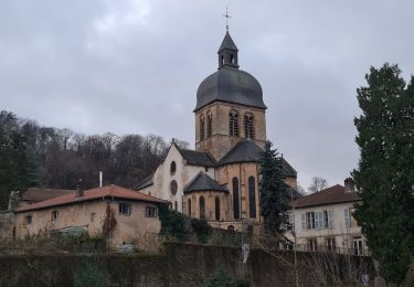 Tour Wandern Gorz - Gorze - Autour du Mont Saint Belin et le Moyenmont - Photo