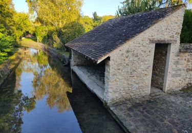 Tour Wandern Cély - Les lavoirs de Cély et Fleury en Bière - Photo