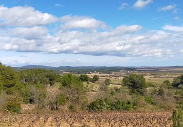 Trail Walking Escales - ESCALES - La tour Romane 02-05-2025 - Photo