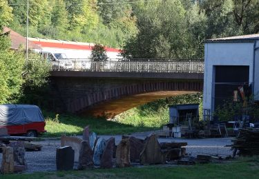 Tocht Te voet Neuweiler - Teinachtalweg - Photo