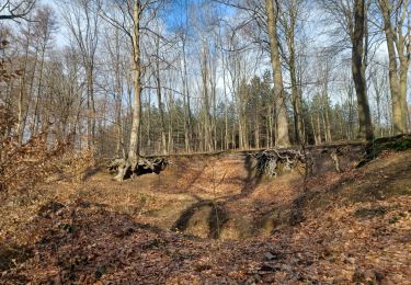 Randonnée Marche Genappe - Promenade à Glabais - Photo