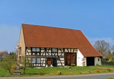 Tocht Te voet Guenviller - Circuit de la Nied Allemande - Photo