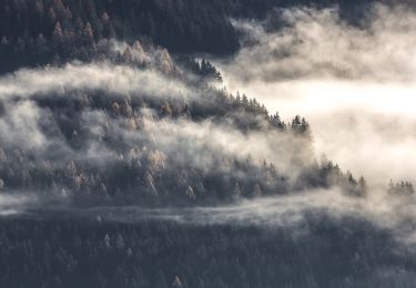 Tour Zu Fuß Gemeinde Bramberg am Wildkogel - Geologischer Lehrweg Habachtal - Photo