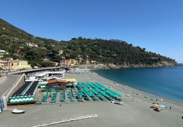 Trail Walking Levanto - Levanto - Bonasola - Photo