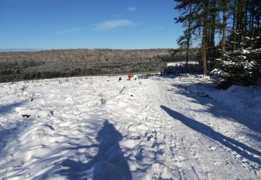 Randonnée Marche Libramont-Chevigny - Bonance en hiver - Photo