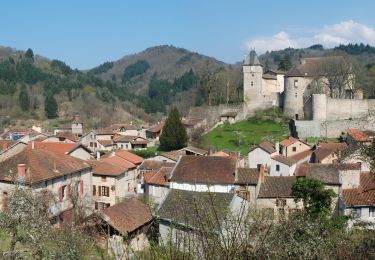 Trail Walking Châteldon - Chateldon_Vauziron_Chasserelle - Photo