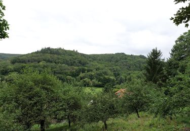 Tocht Te voet Hofheim am Taunus - Rundwanderweg Keiler - Photo