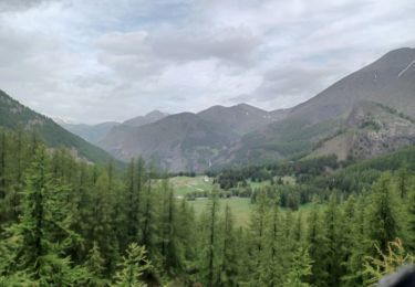 Trail Walking Allos - ALLOS. LAC D ALLOS. COL DE LACAYOLE .O - Photo
