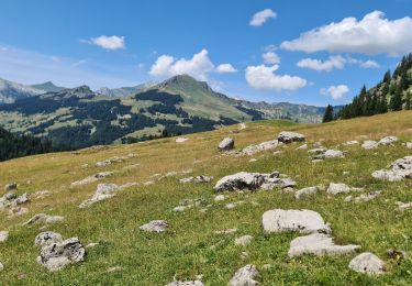 Trail Walking La Clusaz - TROU DE LA MOUCHE - Photo