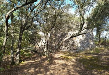 Trail On foot Villarzel-Cabardès - Sentier des Wisigoths Villarzel Cabardes 2 - Photo