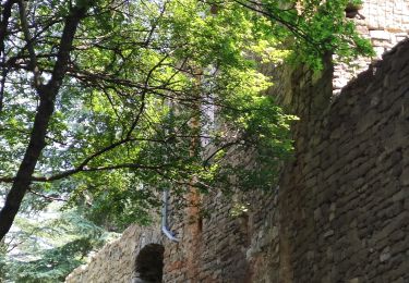 Tour Wandern Sumène - Cézas Prieuré St Martin - Photo