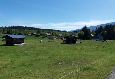 Trail Walking Montcel - BAUGES: LE REVARD - LA FECLAZ - Photo