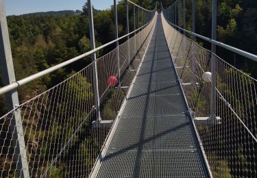 Tocht Wegfiets Riotord - 42 st genest malifaux passerelle lijgnon yssingeaux - Photo