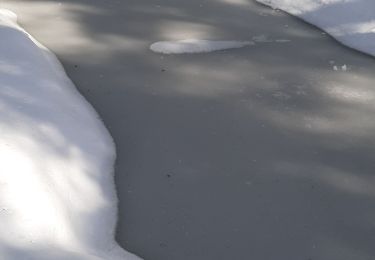 Randonnée Raquettes à neige Morbier - Les Marais 20210321 - Photo