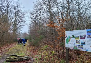 Tocht Stappen Fère-en-Tardenois - Fere en Tardenois Rando-Santé - Photo