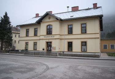 Tocht Te voet Gemeinde Kleinzell - Kleinzell - Weibeck - Ebenwaldhütte - Photo