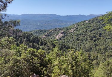 Tocht Mountainbike Zonza - Zonza - Photo