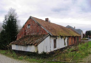 Tocht Te voet Lummen - Venusberg Oranje bol - Photo