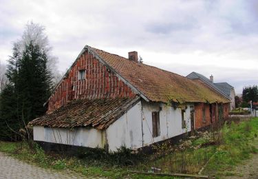 Tour Zu Fuß Lummen - Venusberg Oranje bol - Photo