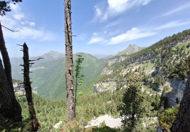 Trail Walking Plateau-des-Petites-Roches - Dent de Crolles  - Photo