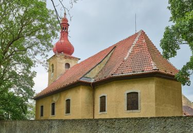 Trail On foot Dolní Žandov - [Z] Nebanice - Javořina - Photo