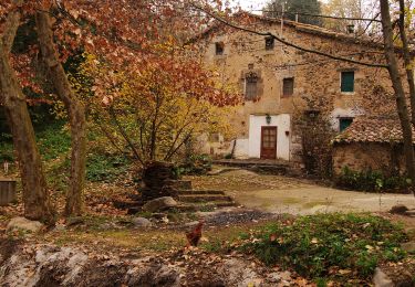 Excursión A pie Cànoves i Samalús - SL-C 90 Riera de Vallfornes - Photo