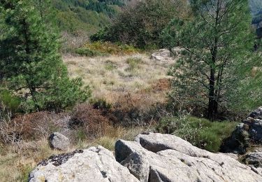 Randonnée Marche Fraisse-sur-Agout - haute vallée de l agout  - Photo