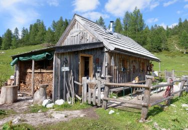 Tocht Te voet Bad Mitterndorf - 6-Seen-Wanderung - Photo