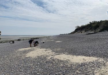 Excursión A pie Cayeux-sur-Mer - Le Hourdel - Photo