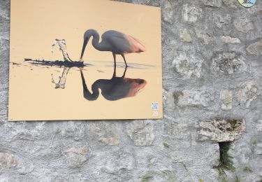Tocht Stappen Tourrette-Levens - Tour Sud de Tourette Levens - Photo
