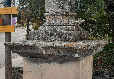 Trail Walking Apt - CR_Domitia_BE_25_Apt_Cereste_20220407 - Photo