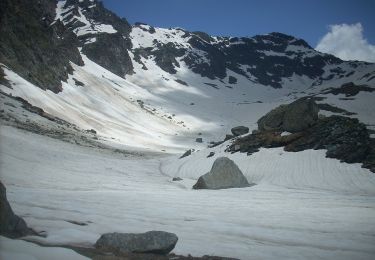 Tour Zu Fuß Chiesa in Valmalenco - Chiareggio-Rifugio Longoni-Alpe Sasso Nero-Rifugio Palù- Alta Via 4° tappa - Photo