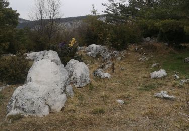 Tocht Stappen Escragnolles - hameau de Clars avec Toto - Photo