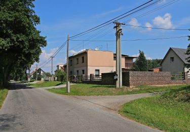 Tour Zu Fuß Tinischt an der Adler - Poorlická NS - Photo