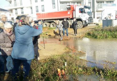 Tour Wandern Maurepas - marche du 7 novembre 2019 - Photo