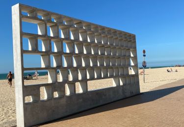 Tour Wandern Koksijde - Coxyde - Photo