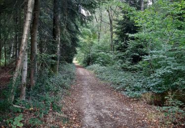 Trail Walking Caorches-Saint-Nicolas - Caorche St Nicokas - Photo