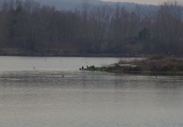 Randonnée Vélo Pont-Sainte-Maxence - sortie AU5V - Photo