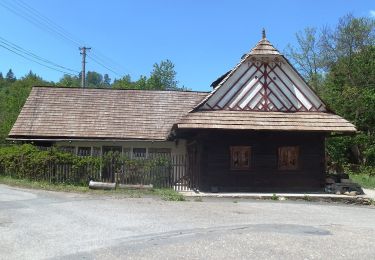 Excursión A pie Valašská Polanka - NS Vartovna - Photo