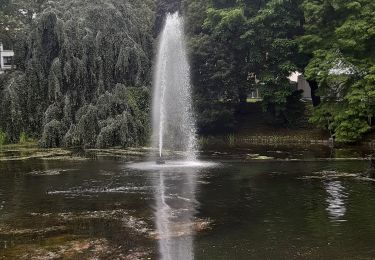 Tocht Stappen Luik - liege etat des eaux inondations 14 15 16 juillet 21 - Photo