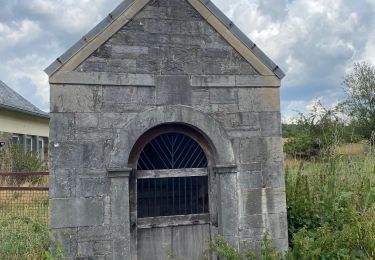 Tour Wandern Gesves - Faulx-lesTombes - Photo