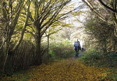 Randonnée A pied London Borough of Bexley - Shuttle Riverway - Photo