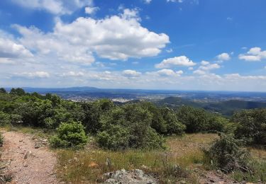 Tocht Stappen Saint-Jean-du-Gard - Saint Jean du Gard - Ales - Photo