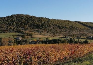 Tour Wandern Aubignas - Aubignas La Roche Noire 12km - Photo