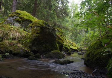 Tour Zu Fuß Hyvinkää - Mustan kiven kierros - Photo