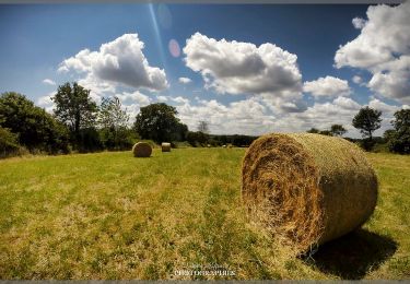 Excursión A pie Spézet - Le_Bocage_Kerniou-Kerguen - Photo