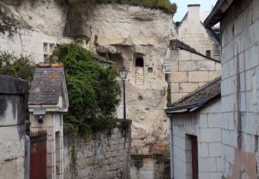 Randonnée Marche Souzay-Champigny - Souzay-Champigny - Photo