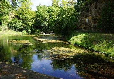 Trail Walking Grans - Grans - Fontaine Mary Rose - Photo